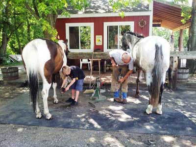 horses being shoed on a hitching post mat